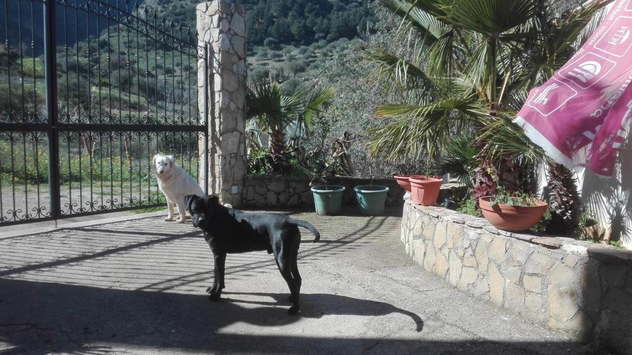 Casa Siciliana Altarbiah Villa Trabia Buitenkant foto